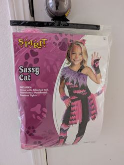 Sassy Cat Halloween Costume