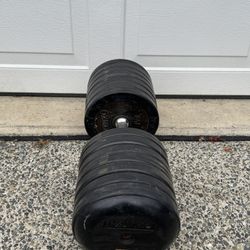 Single Dumbbells 110bls 