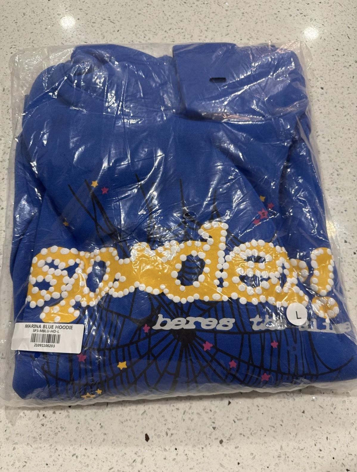 Streetwear Web Hoodie π₯ | Brand New (Bagged) β Size L