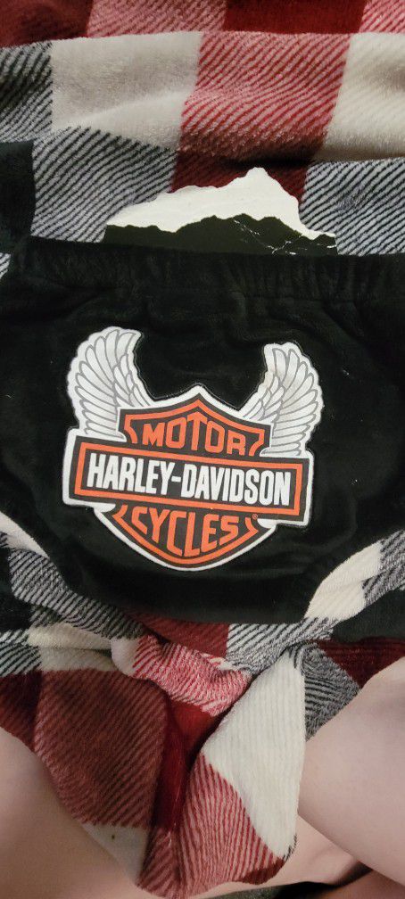 Baby Harley Davidson 