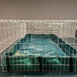 Guinea Pig Cage
