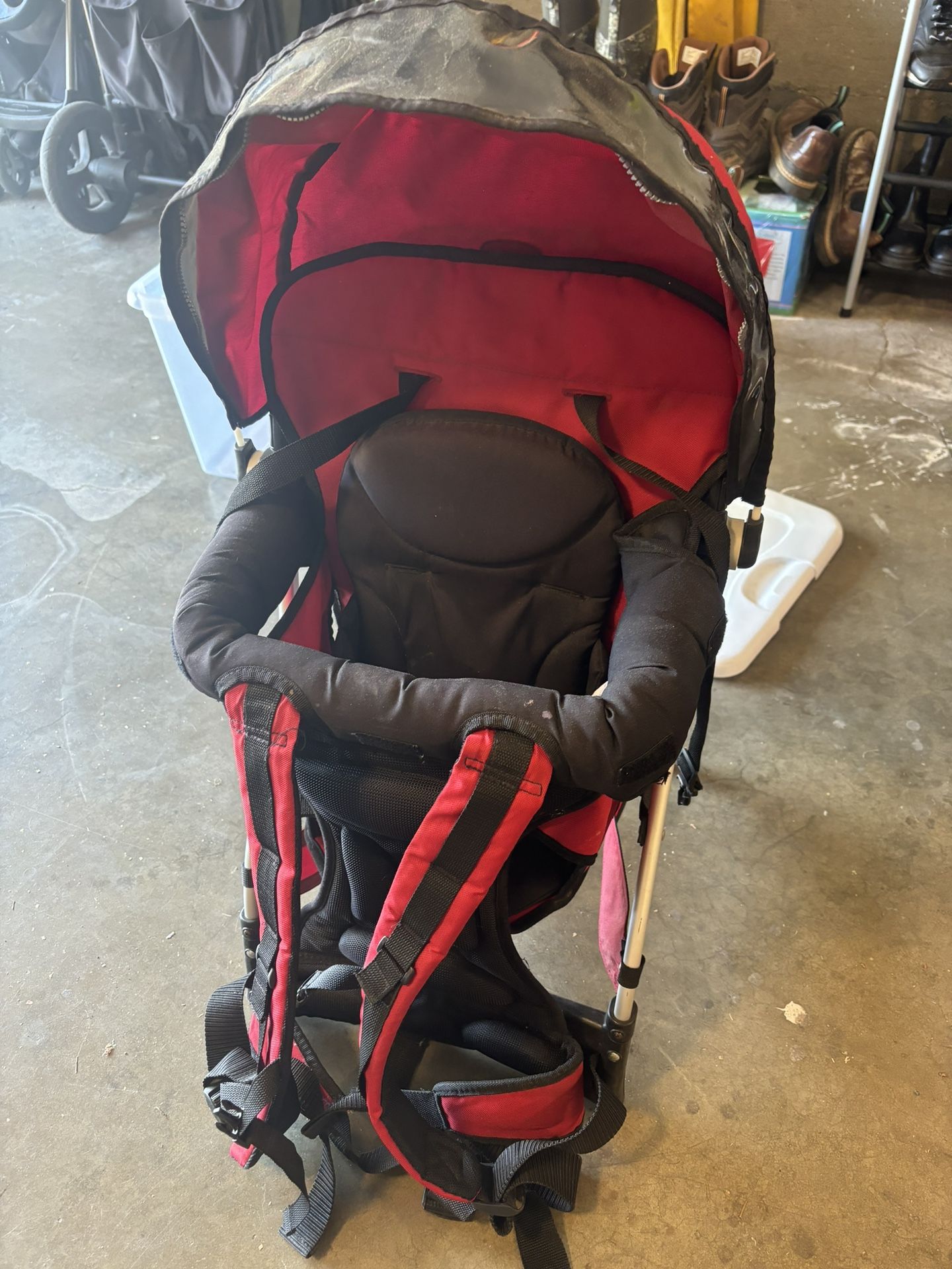 Baby Hiking