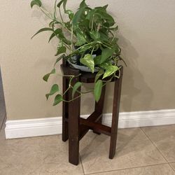 MCM Plant Stand