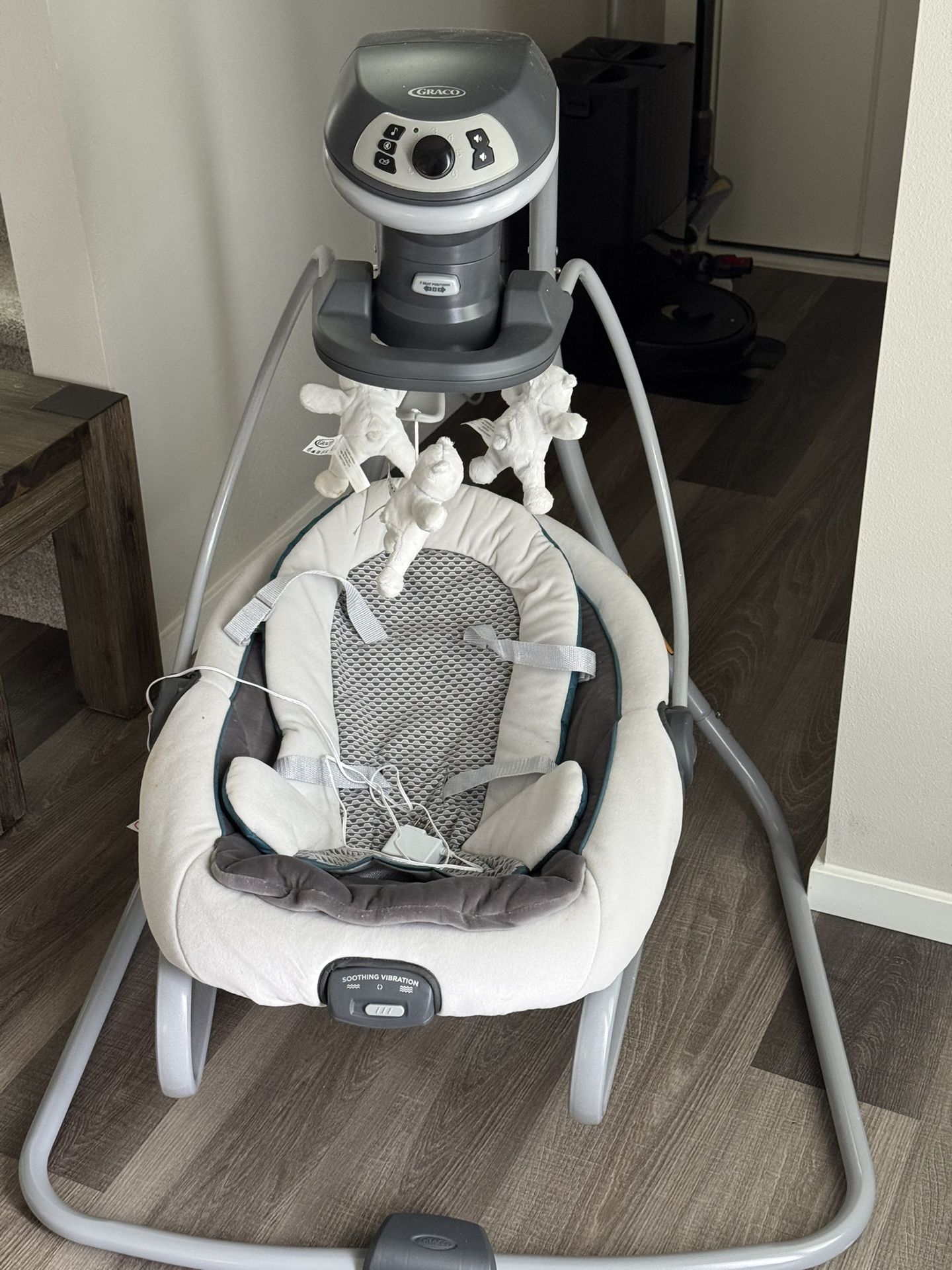 Graco Baby Swing