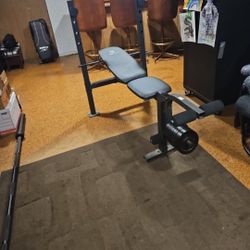 Gold's Gym Bench Press 