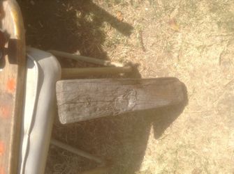 Driftwood