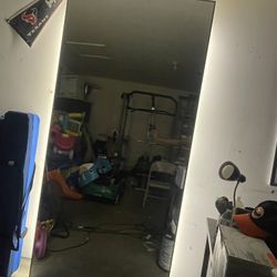 Huge Mirror With LED Back Lighting 42x90 