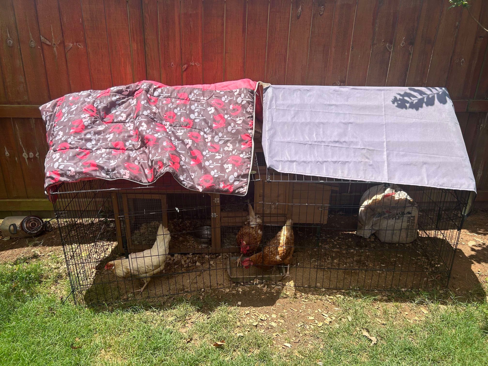 Chicken Runner Pen