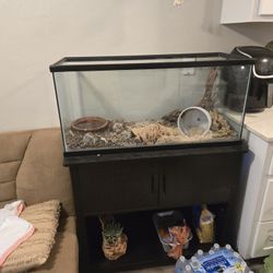 Reptile Enclosure Tank With Stand 