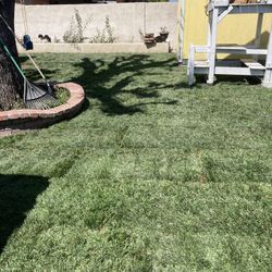 Sod Installation 