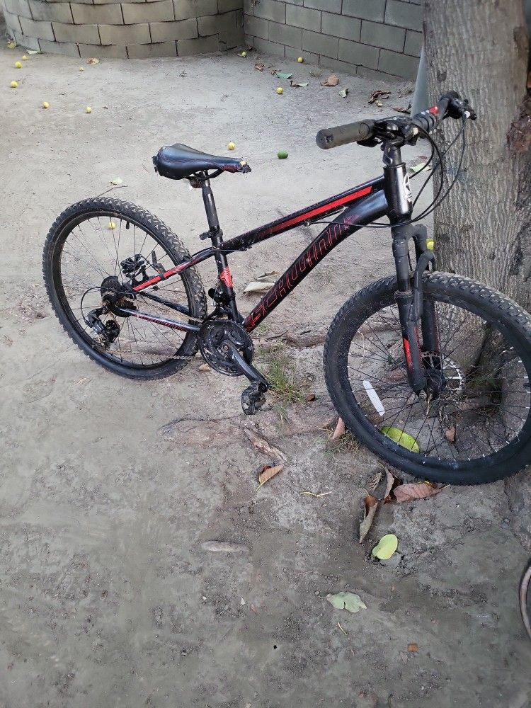 Schwinn Sidewinder 24inch Perfect Ride