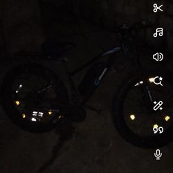 Gee Max Bike