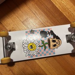 Zumiez Skateboard 