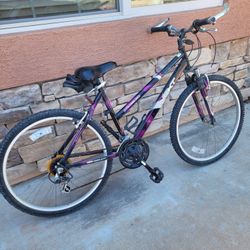 Vertical mountain tamer bike cheap