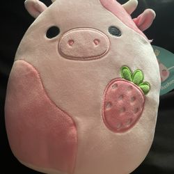 Reshma Squishmallow 