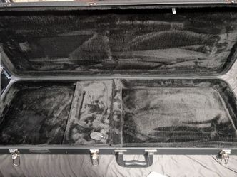 Road Runner Guitar Case
