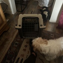 Top Paw Pet Kennel Carrier