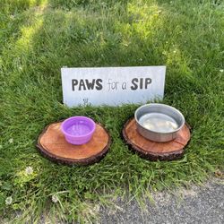 Please Donate Tennis Balls! 