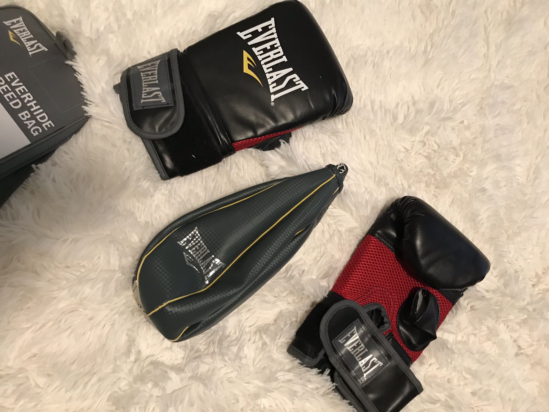 Everlast Training Gloves & Speed Bag