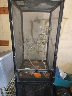 Terrarium Enclosure For Chameleons