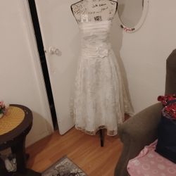 David's Bridal Dress