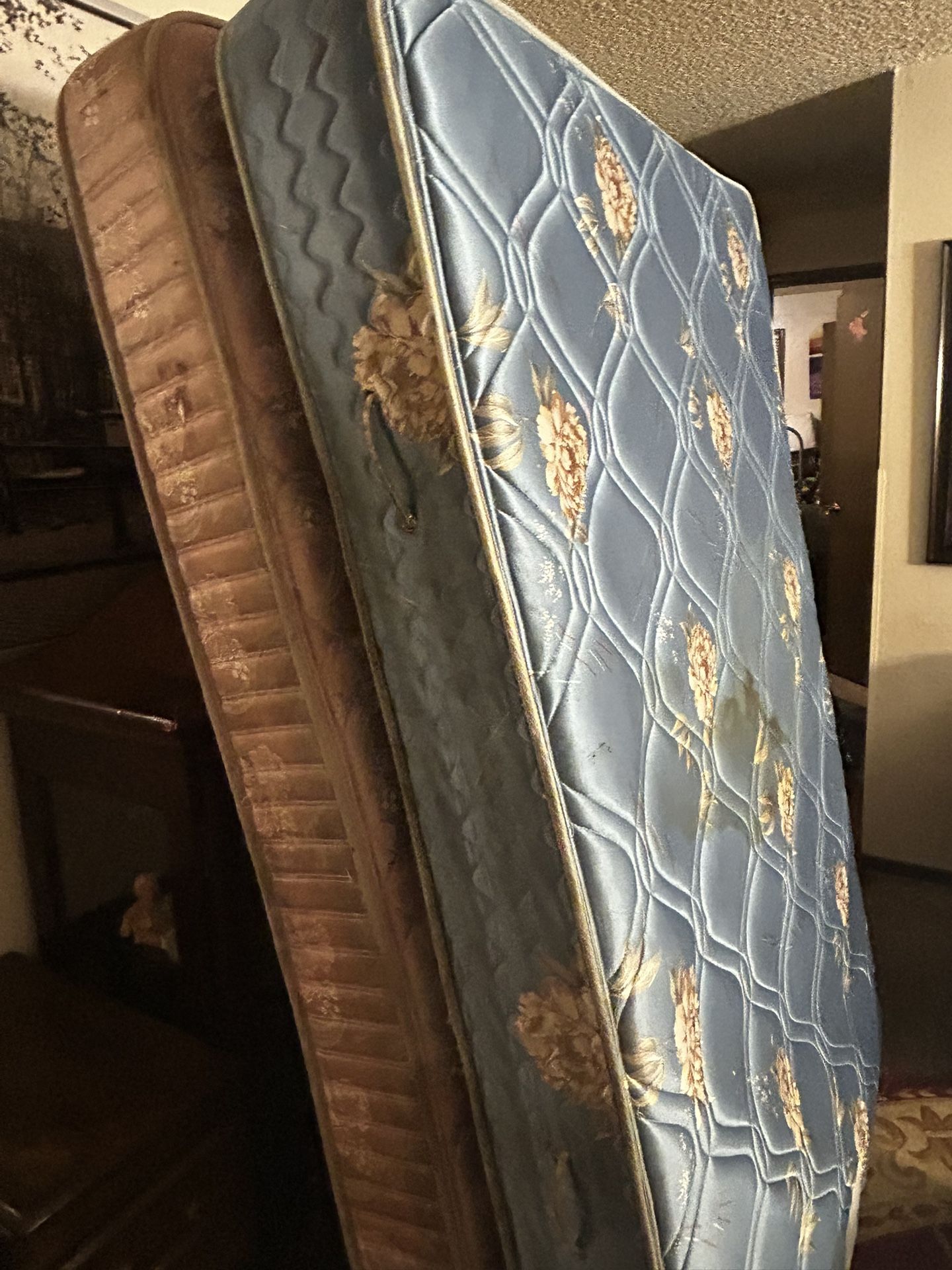 2 FREE Twin Sized Mattresses