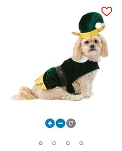 Xmas for dogs