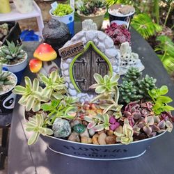 PLANT SALE  GNOME HOUSE PLUS TONS MORE. SAN LORENZO ALL THIS WEEK