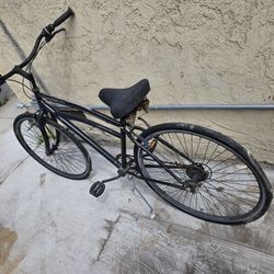 Adult Bike