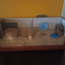 2 Teddy Bears, Enclosure, Wheel, And Bedding