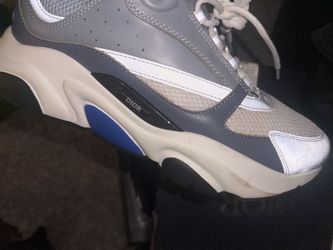 Dior B22