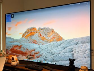 LG 48 oiled 48GCQ900-B Gaming Monitor Flawless