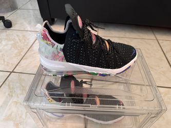 Lebron Nike Shoes Size 10.5