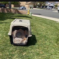 Dog Crate 