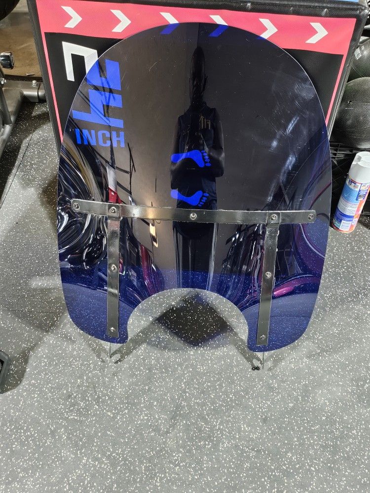 Road King Windshield
