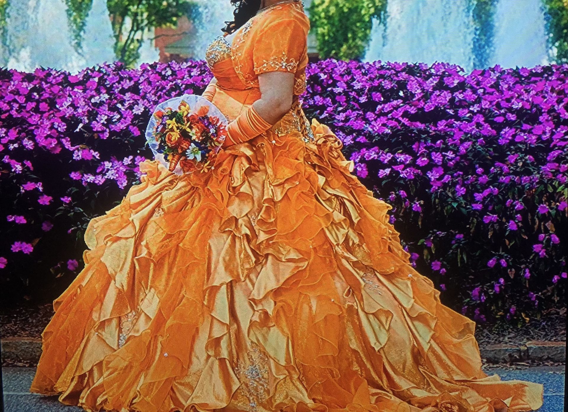 Quinceañera Dress / Sweet 15