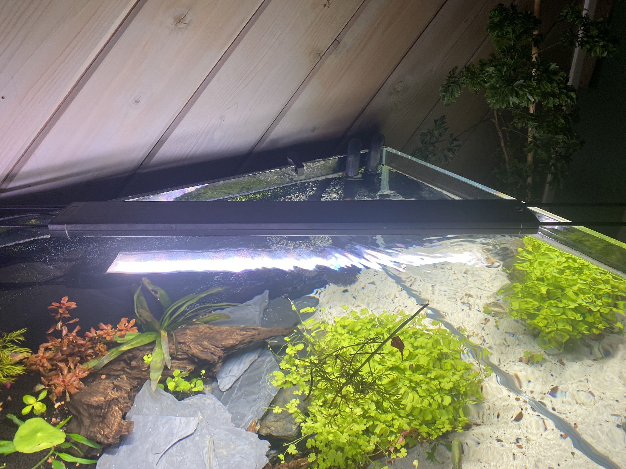 Fluval Fresh And Planted Aquarium Fish Tank Light Length is 24 - 34 inches Highly rated for aquariums with plants.
