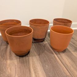 5 Terracotta Pots - 8"
