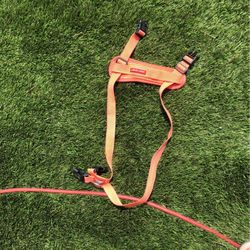 Dog Harness 