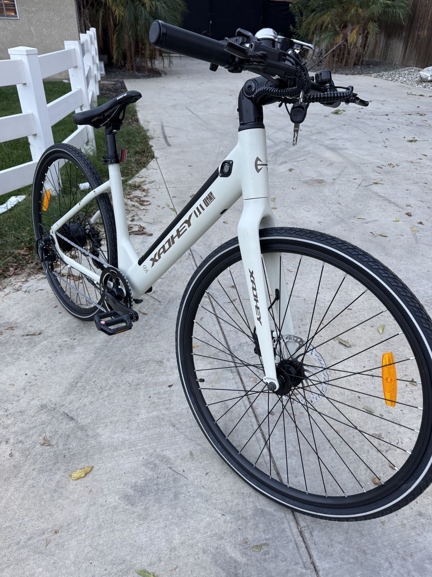 Electric Bike For Adult