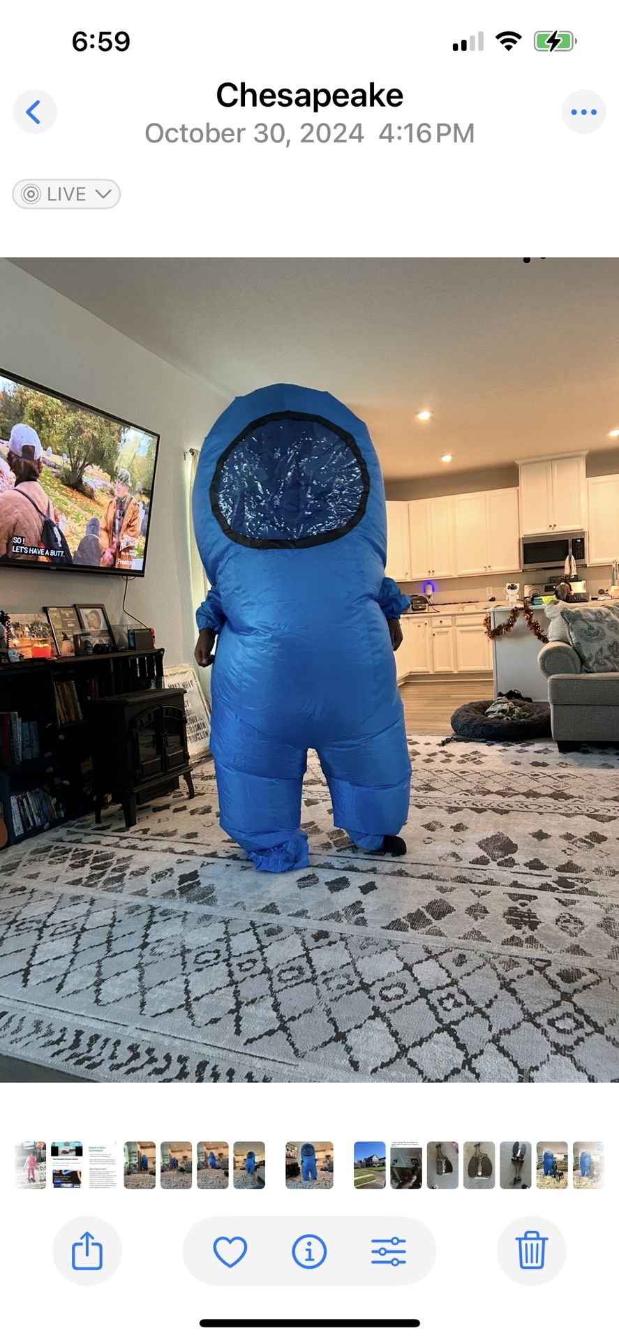 Among Us Halloween Costume