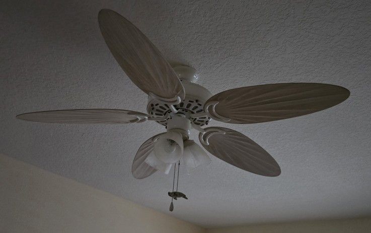 Indoor Fan With Lights