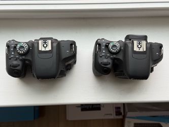 Canon T7i body only.