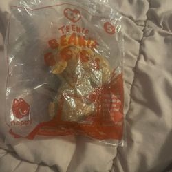 Chocolate The Moose 5