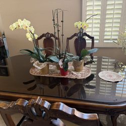 8 Pcs Formal dining Set.  Brand Jessica Mcclintock.  Table With 2 Pedestal Stand.   2 Arm chair.  4 Side chair.  1 Extended Leaf.  1 Glass Top. 