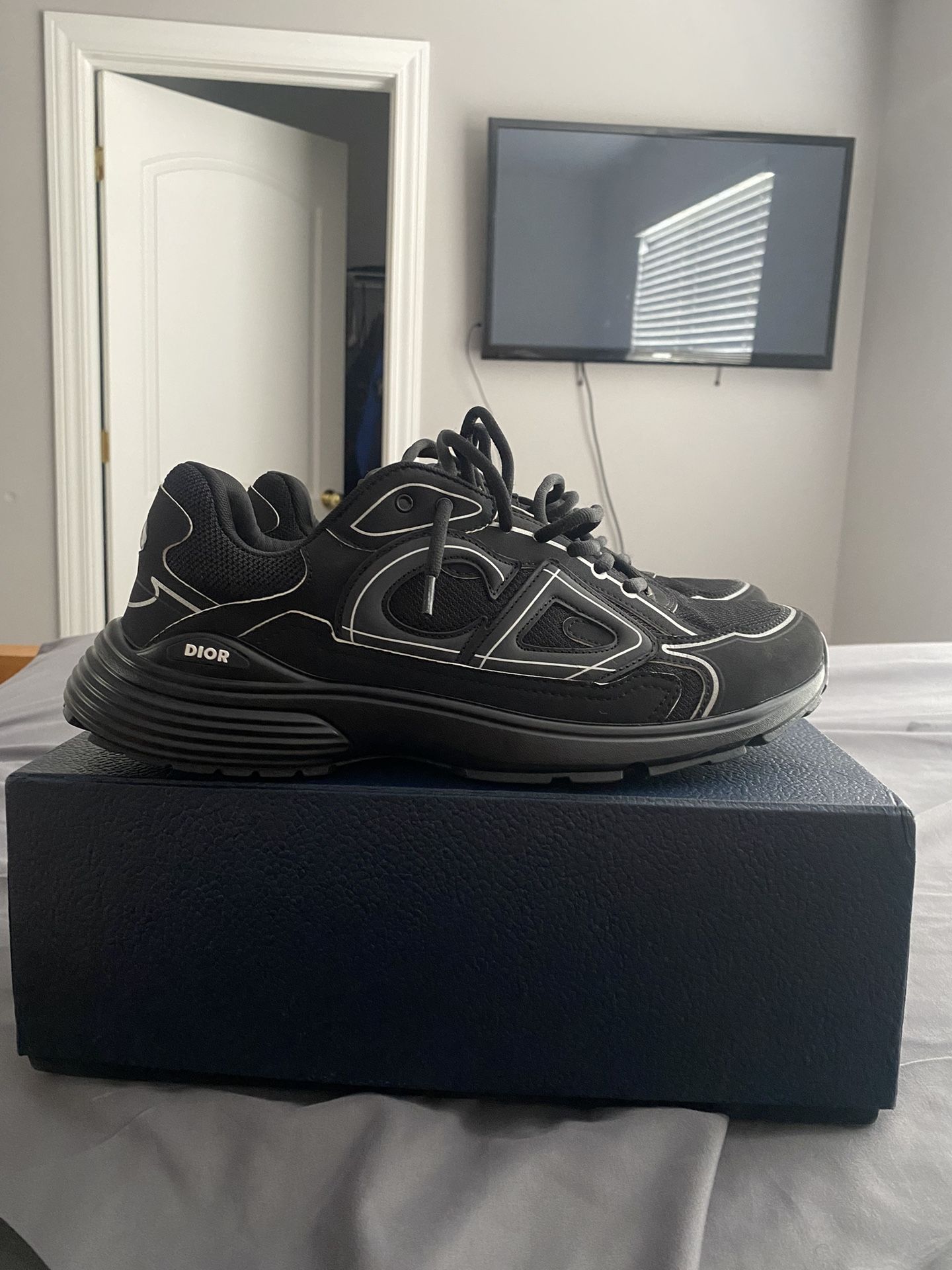Dior B30 Shoes