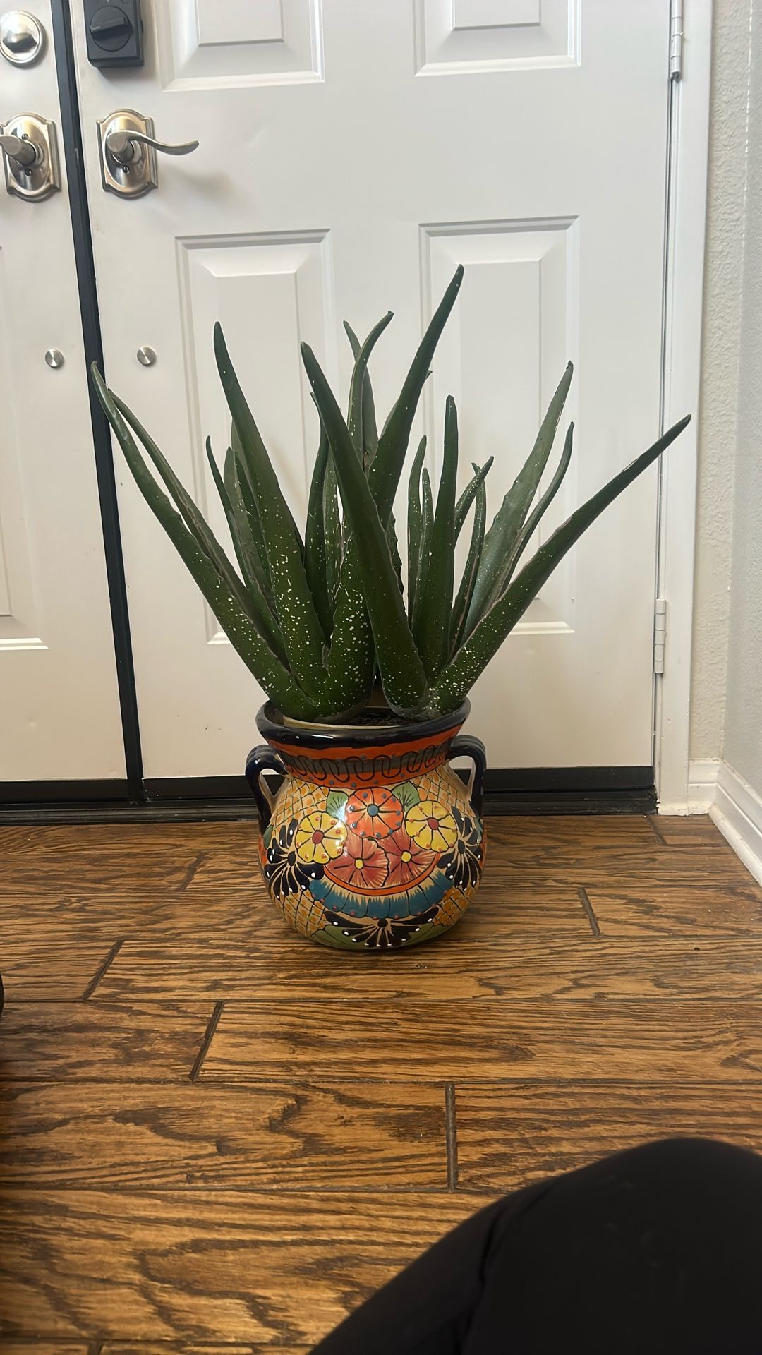 Ceramic Pot With Plastic Cactus