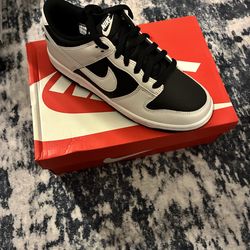 Grade School Nike Dunks ( Size 7y/ Womens 8.5) Brandnew
