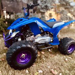 2008 Loncin Baja