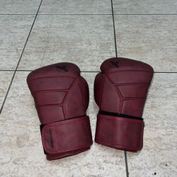 Hayabusa 14 Oz Boxing Gloves